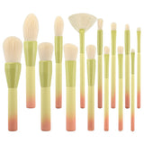 14pcs Pink Green Gradient Makeup Brushes Set