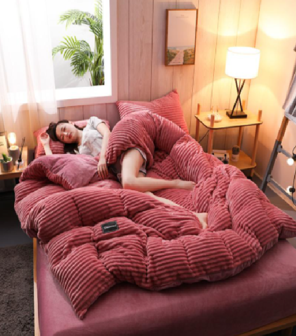 Comfy 4Pcs Coral Velvet Bedding Set