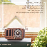 Classical retro radio receiver portable