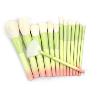 14pcs Pink Green Gradient Makeup Brushes Set