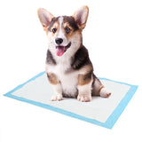 Super Absorbent Pet Diaper Dog Training Pee Pads Disposable Healthy Nappy Mat For Cats Dog Diapers Cage Mat Pet Supplies