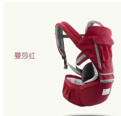 All-In-One Baby Travel Carrier