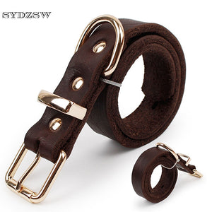 Top Grade Leather Dog Collar Pet Leads Alloy Buckle