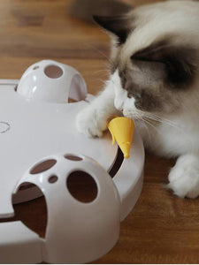 Fully Automatic Kitty Fun Toy